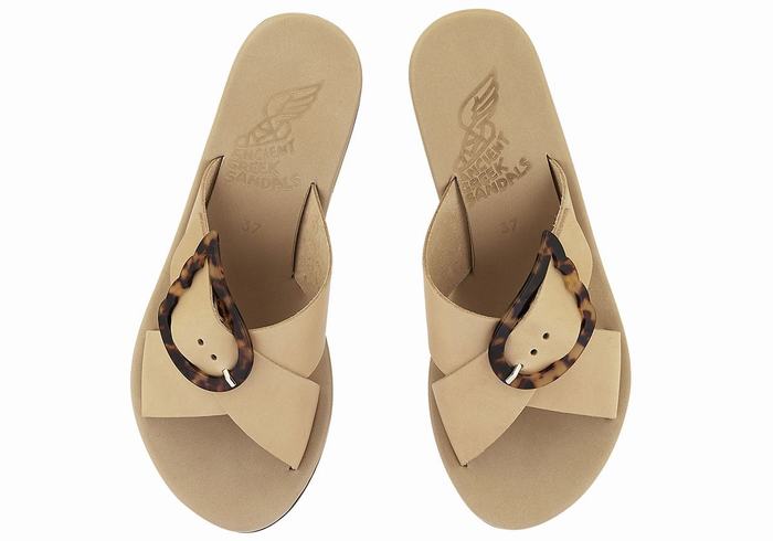 Sandale Compensée Ancient Greek Sandals Thais Rainbow Blanche Noir Femme | JFO-1744110